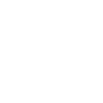 DD PNEU